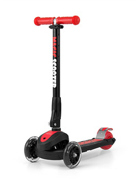 Immagine del prodotto