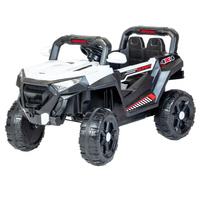 Immagine del prodotto